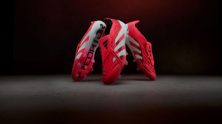 Guide comparatif entre ancienne predator et predator 2026